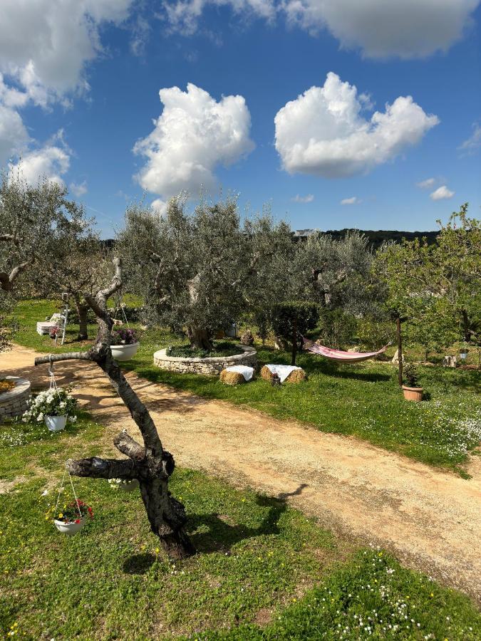 Trulli Barsento Guest House Alberobello Luaran gambar