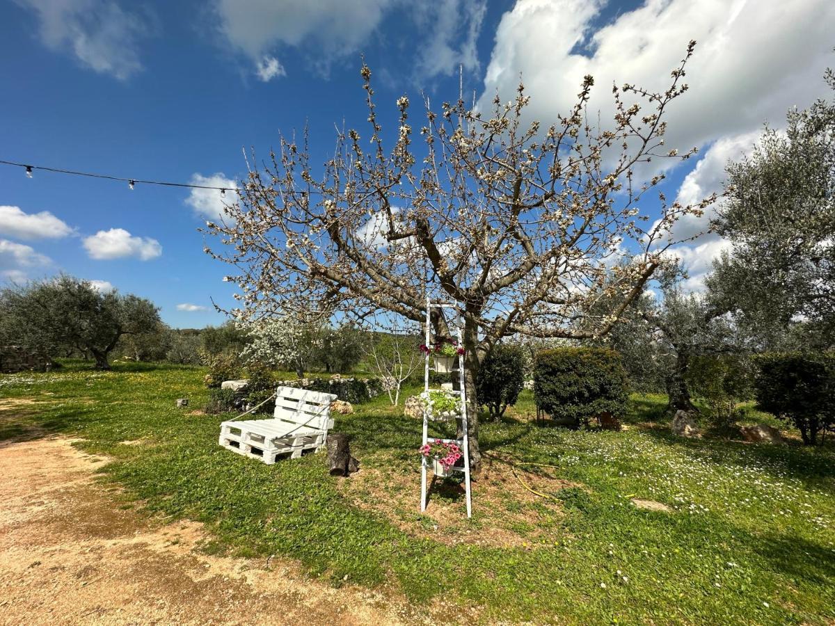 Trulli Barsento Guest House Alberobello Luaran gambar