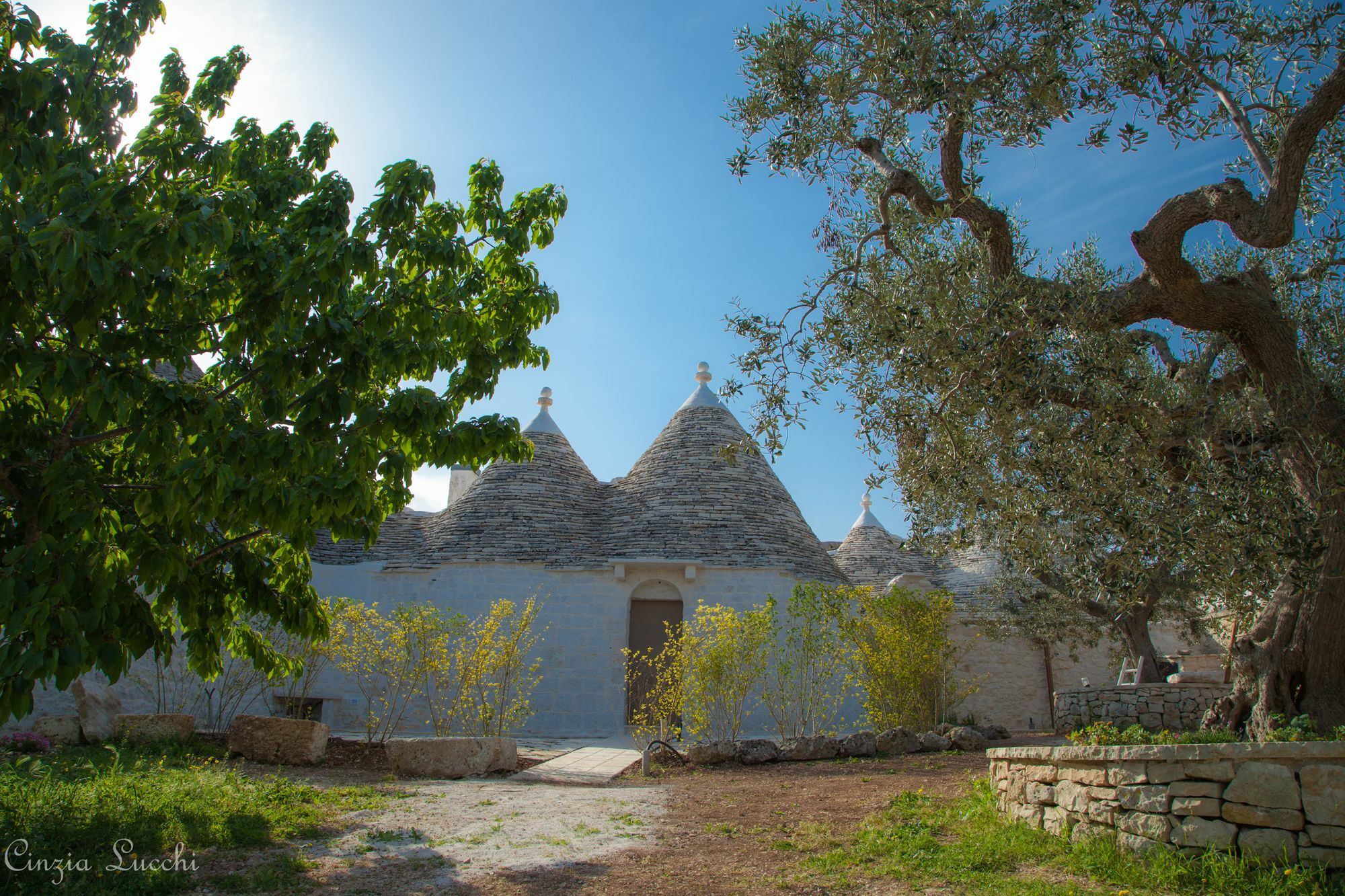 Trulli Barsento Guest House Alberobello Luaran gambar